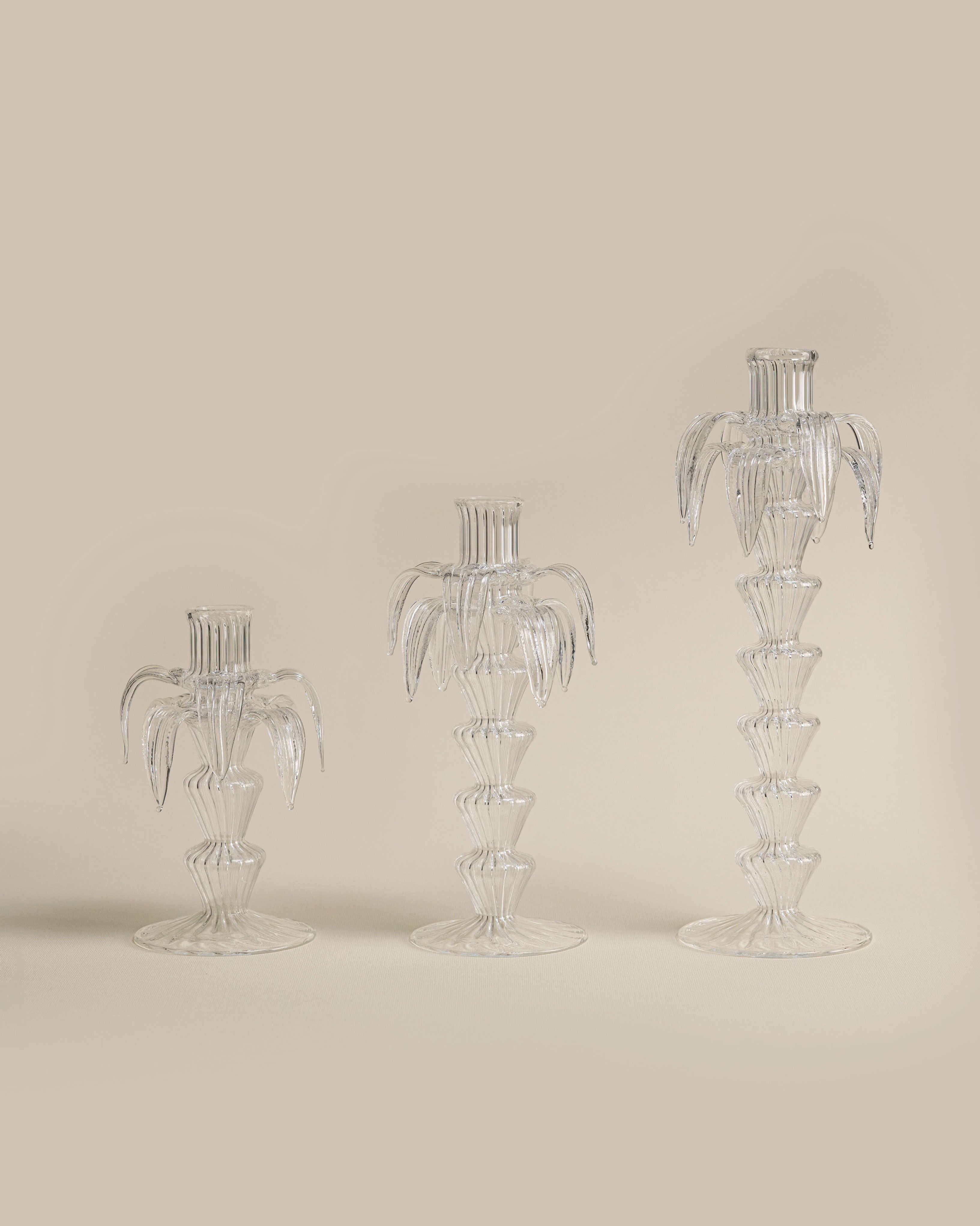 Clear Palm Candle Holder Set