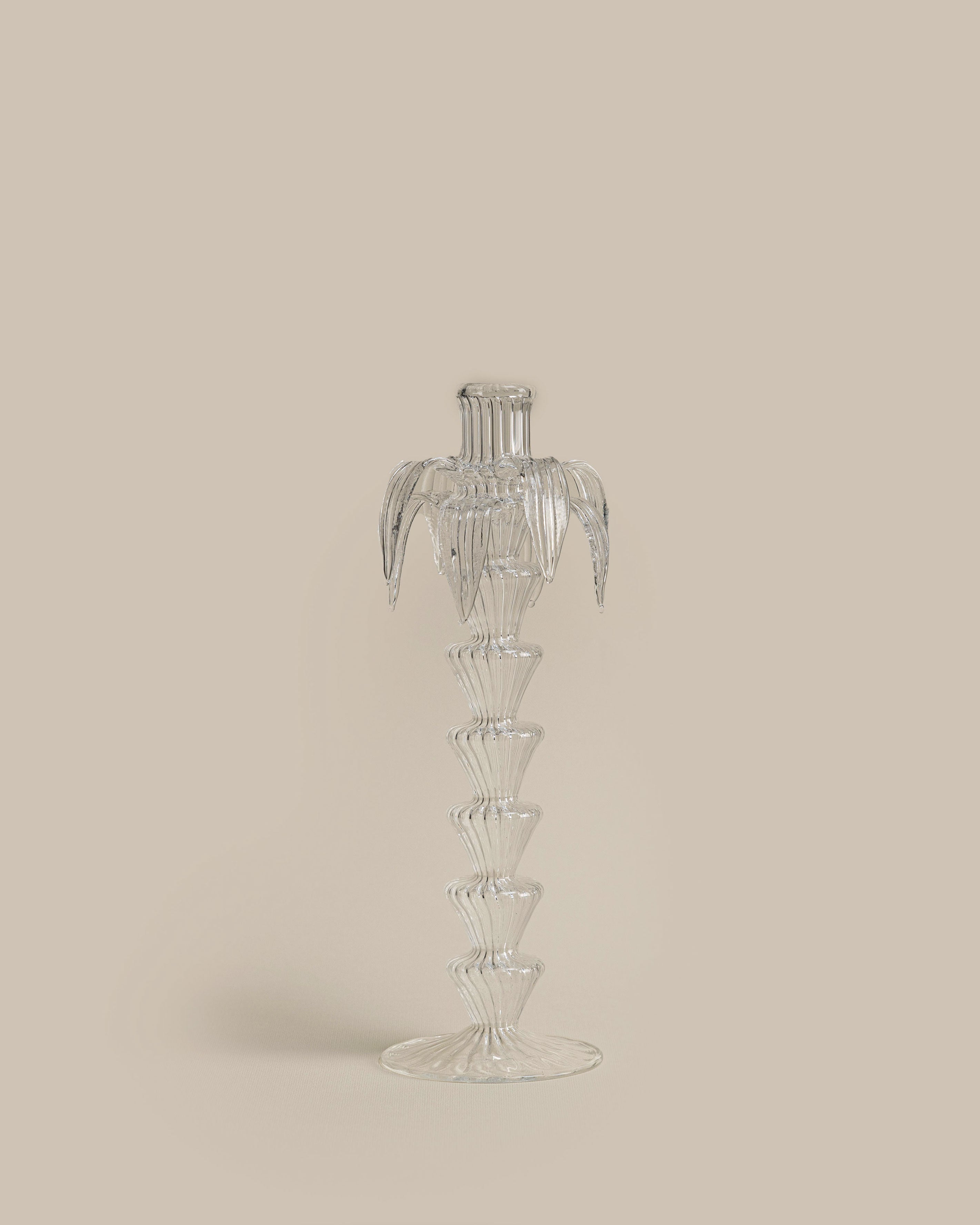 Clear Palm Candle Holder Set