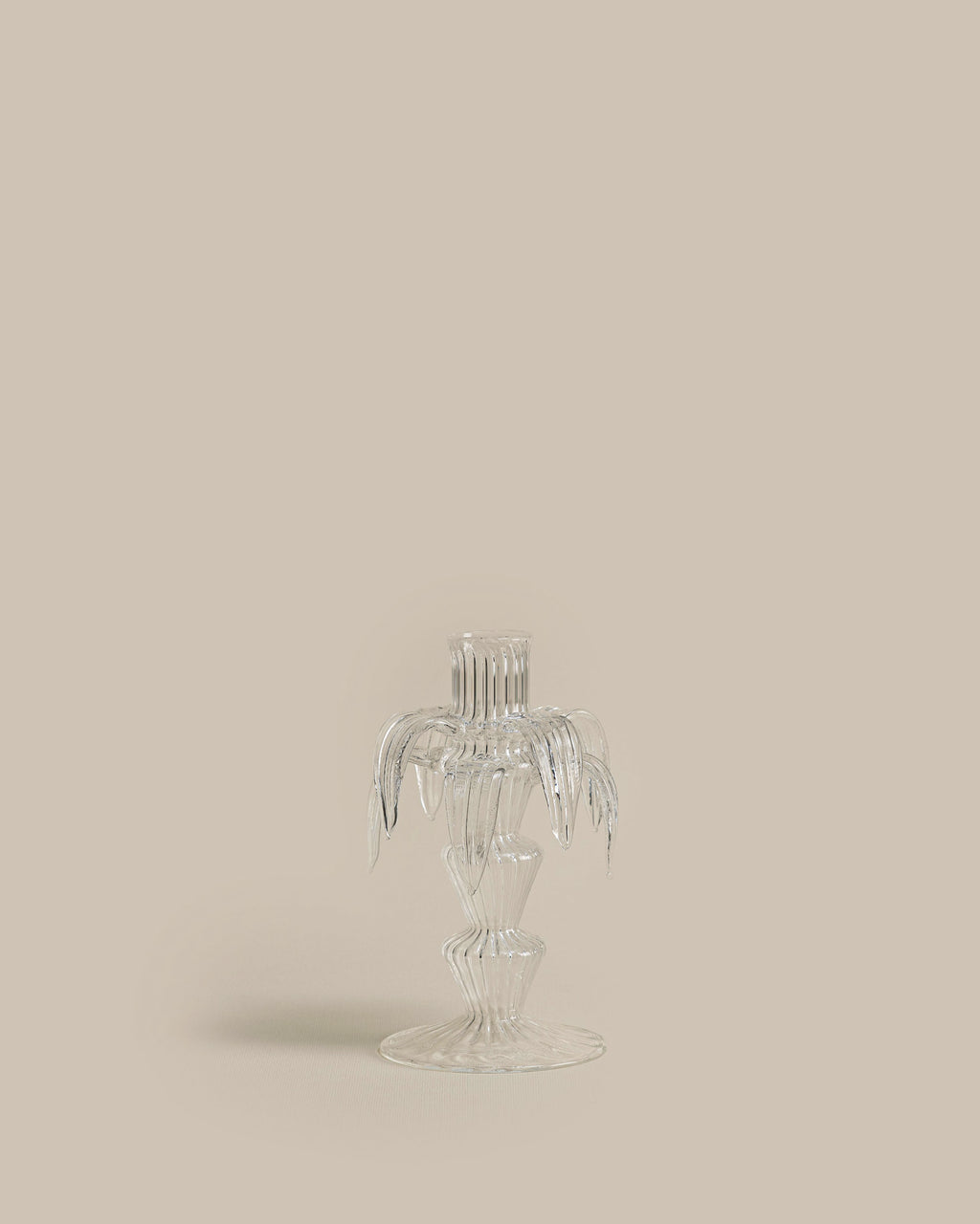 Clear Palm Candle Holder Set